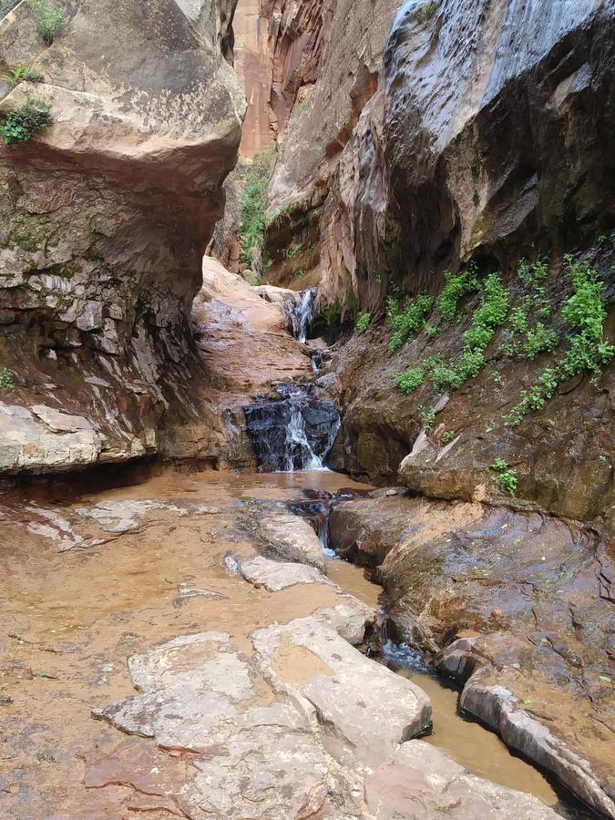 Zion'S Cozy Cabin'S Hildale Luaran gambar